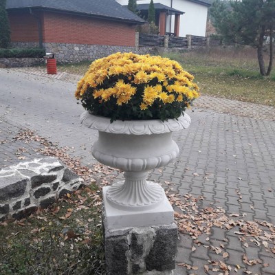 Чаша Треві