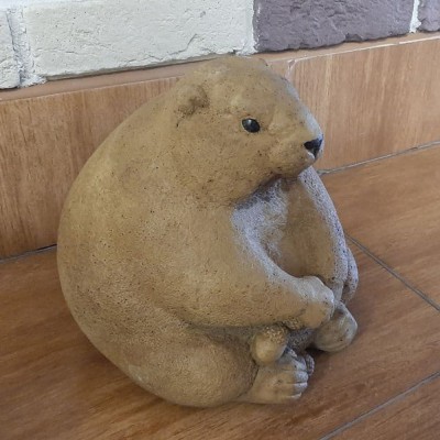 Бабак Рокі