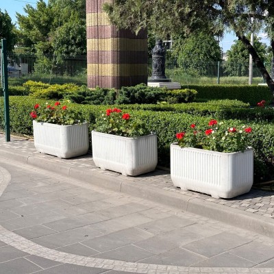 Квітник Тира 2